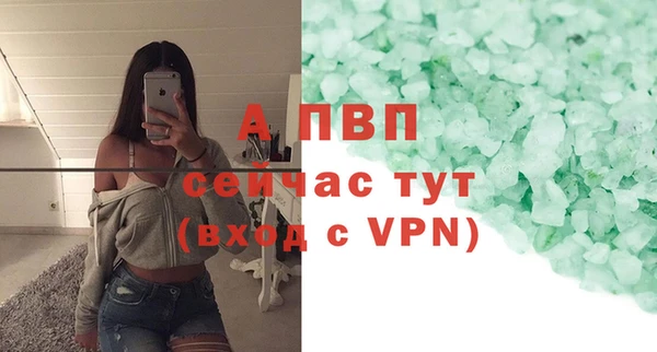 крисы Няндома