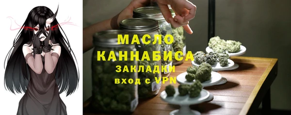 крисы Няндома