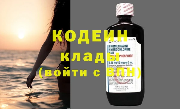крисы Няндома