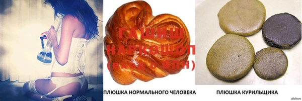 крисы Няндома