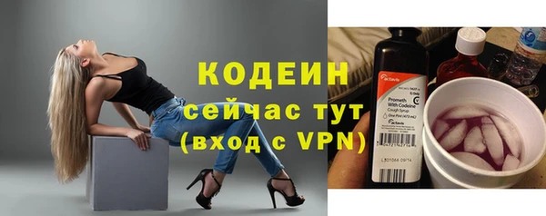 ГАЛЛЮЦИНОГЕННЫЕ ГРИБЫ Осинники